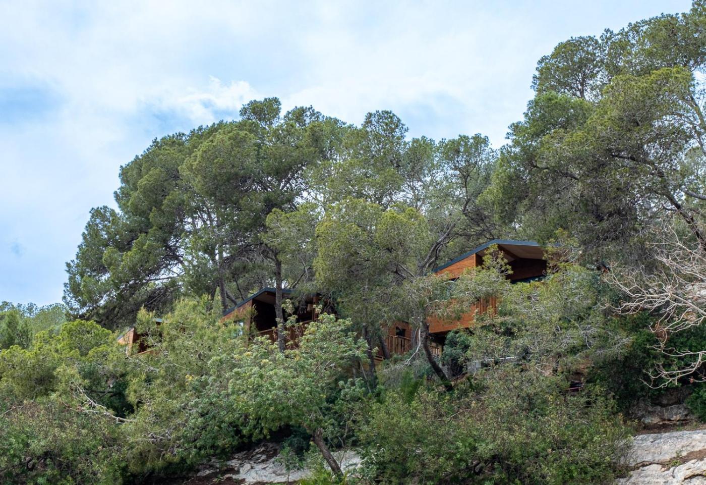 Camping Estival Torre De La Mora タマリット エクステリア 写真