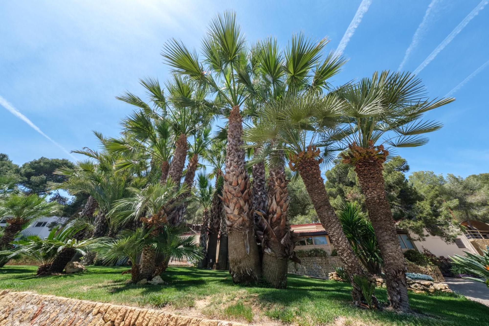 Camping Estival Torre De La Mora タマリット エクステリア 写真